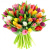 Букет MIX из 51 тюльпана Букет MIX из 51 тюльпана