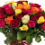 Букет MIX из 51 розы Букет MIX из 51 розы